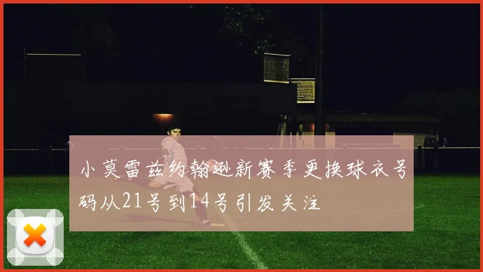 小莫雷兹约翰逊新赛季更换球衣号码从21号到14号引发关注